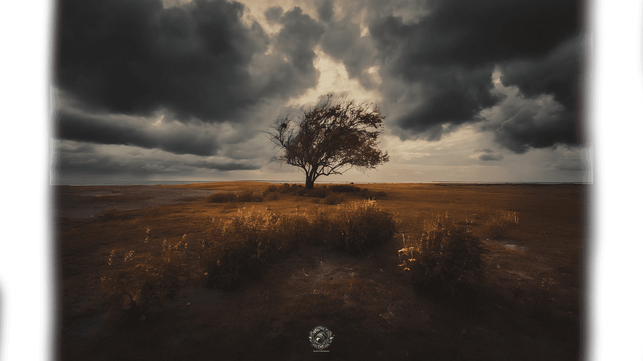 In a Lonely Weather