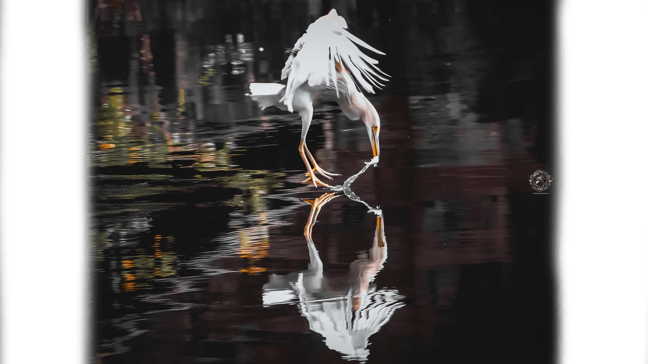 The Flight Moment
